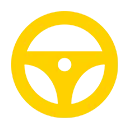 Experienced Driving Icon